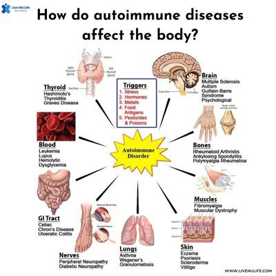 How do autoimmune diseases affect the body