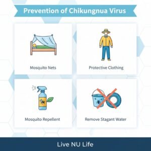 Prevention of Chikungunya Virus