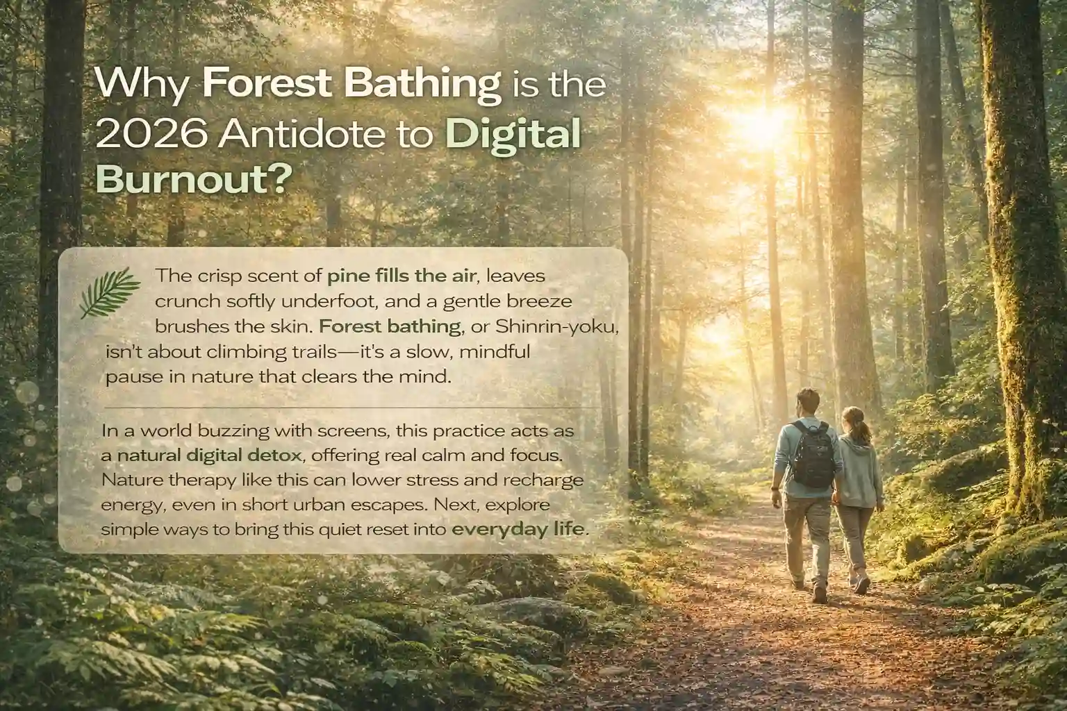 Why Forest Bathing is the 2026 Antidote to Digital Burnout