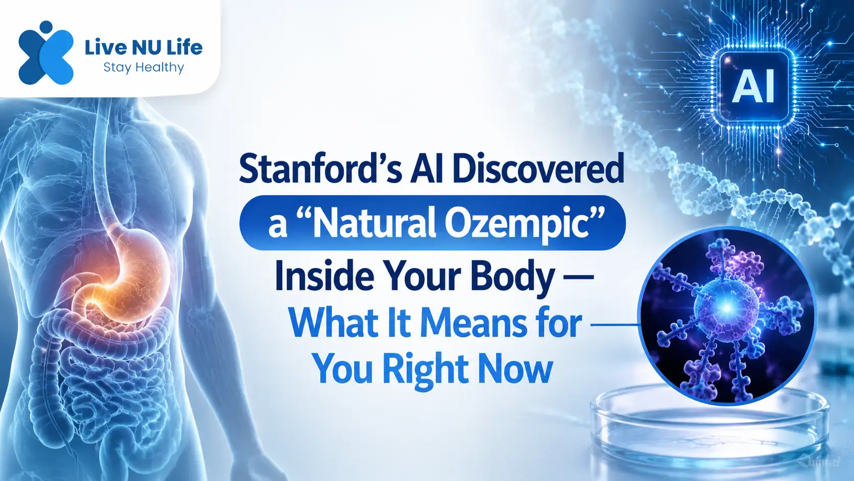 Stanford’s AI Discovered a “Natural Ozempic” Inside Your Body — What It Means for You Right Now