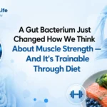 A Gut Bacterium Just Changed How We Think About Muscle Strength