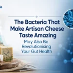 Artisan Cheese for Gut Health