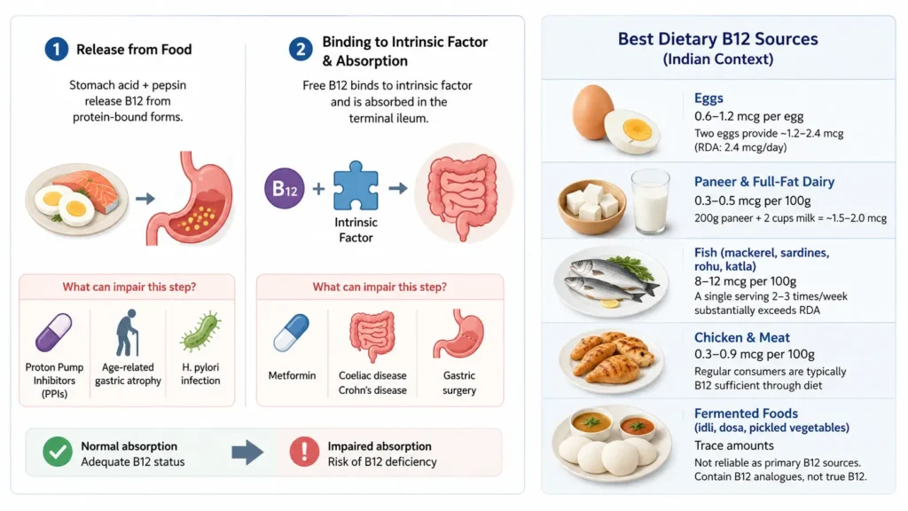 Food Sources and the Absorption Problem