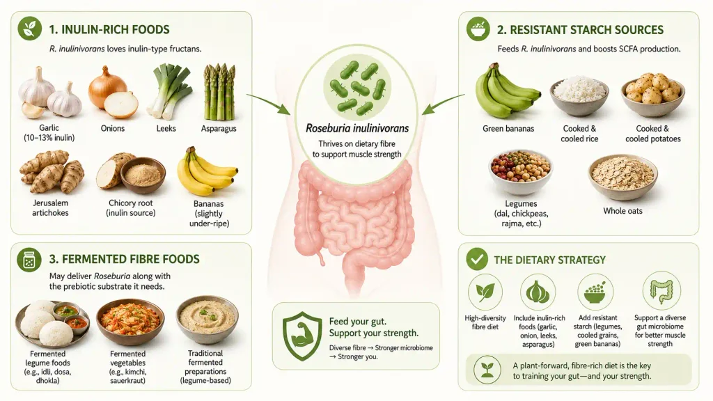 How to Feed Roseburia Inulinivorans