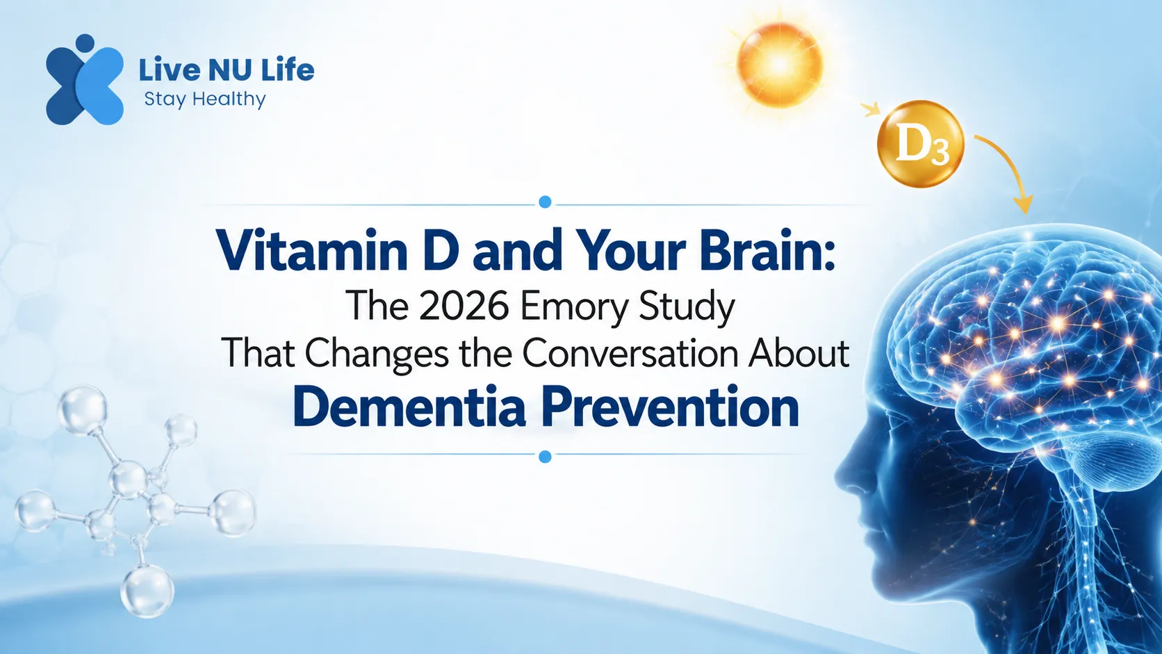 Vitamin D and Your Brain