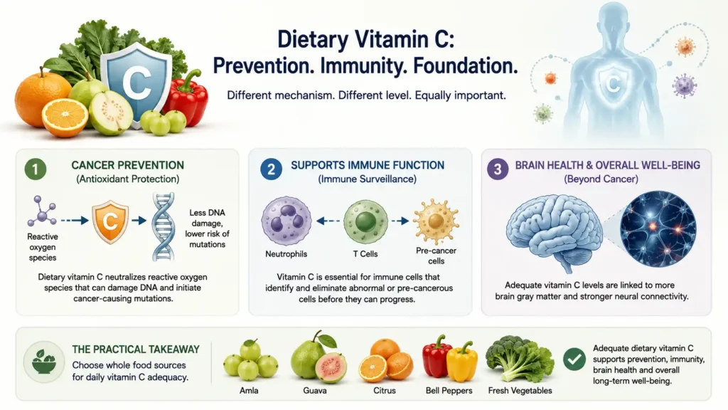 What This Means for Dietary Vitamin C