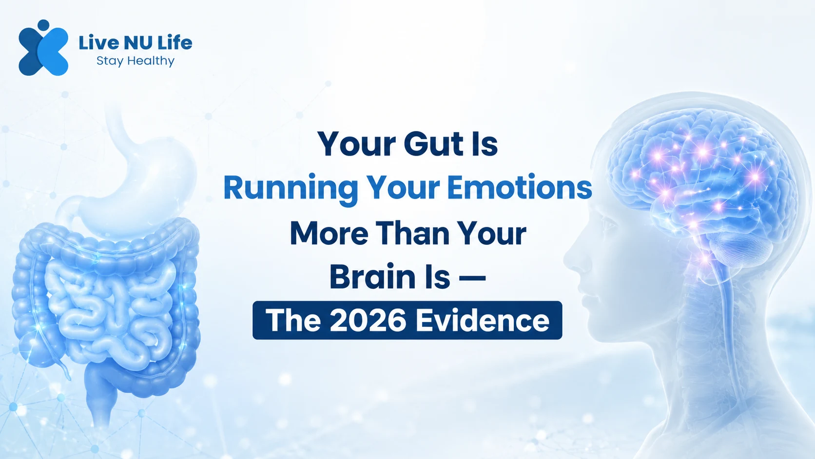 Your Gut Is Running Your Emotions More Than Your Brain Is — The 2026 Evidence