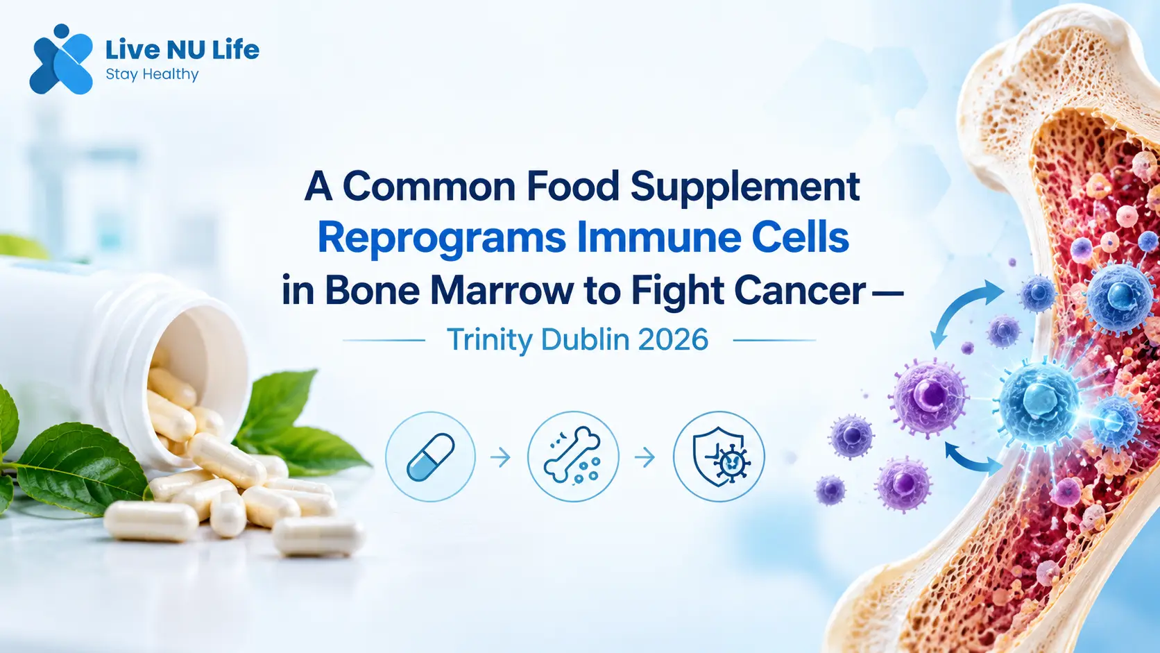 A Common Food Supplement Reprograms Immune Cells to Fight Cancer