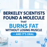 Berkeley Scientists Found a Molecule That Burns Fat Without Losing Muscle