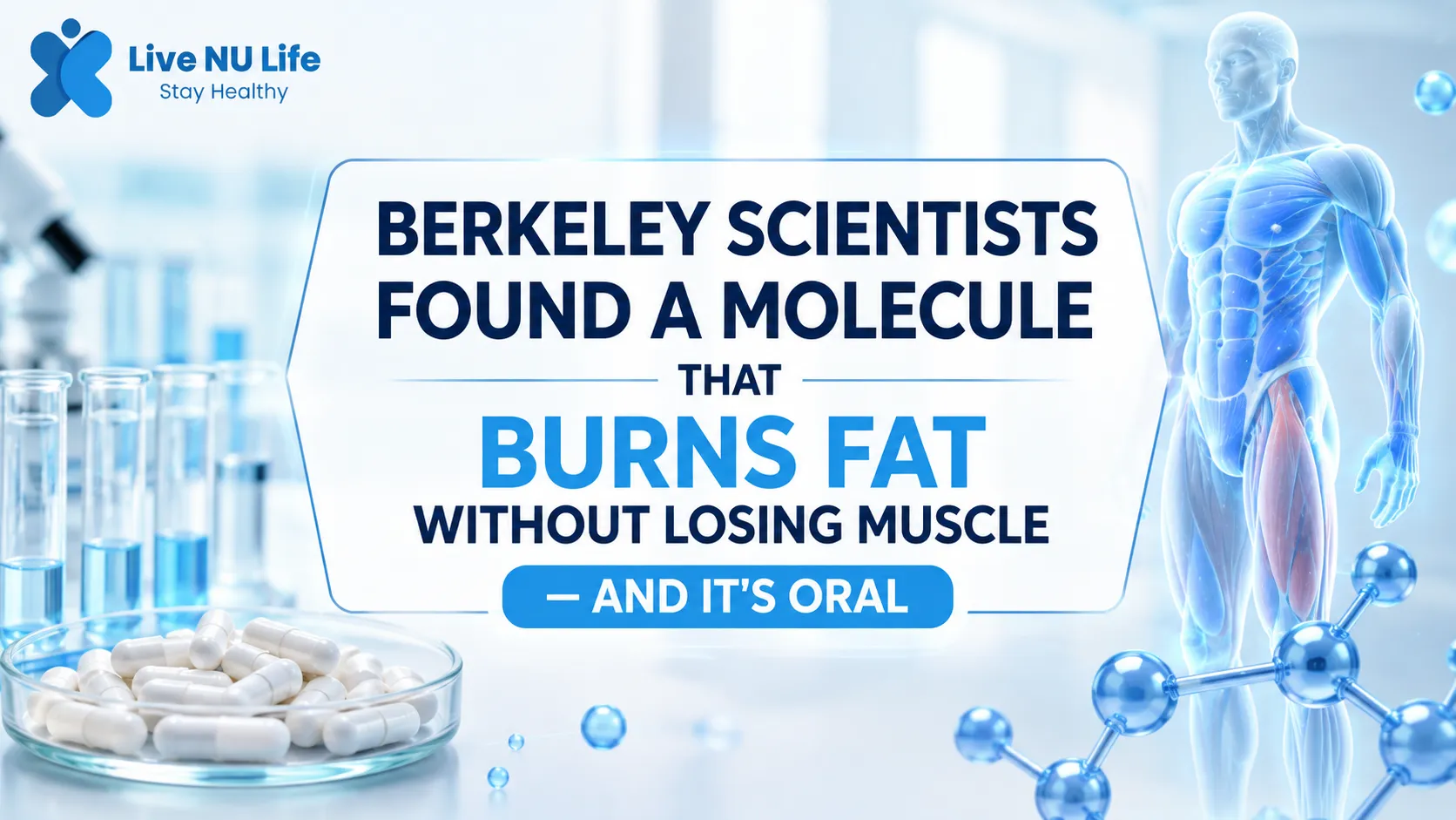 Berkeley Scientists Found a Molecule That Burns Fat Without Losing Muscle