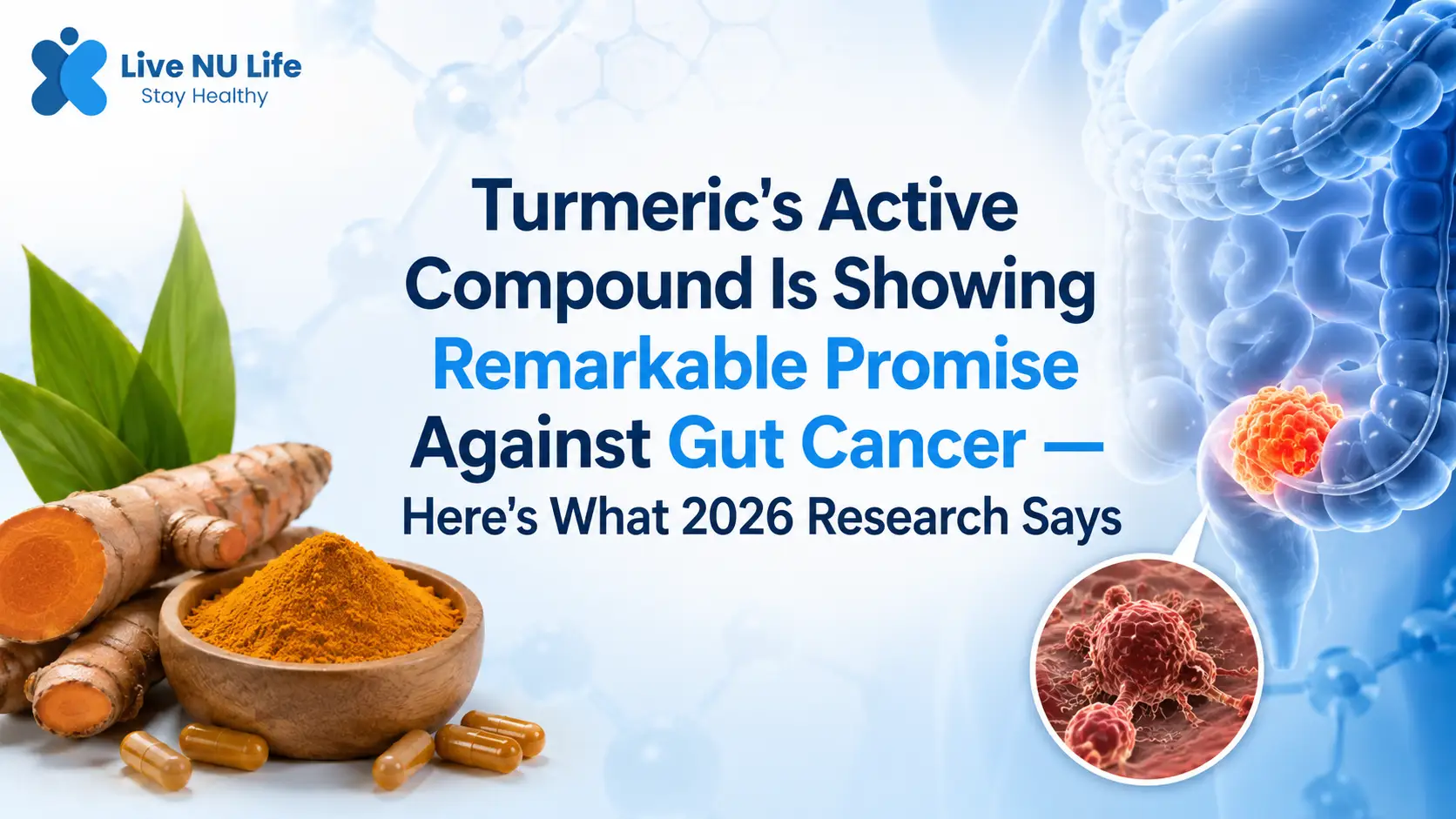 Turmeric & Gut Cancer: What 2026 Curcumin Research Says