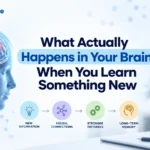 What Happens in Your Brain When You Learn Something New