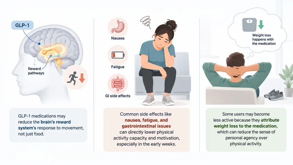 Why GLP-1 Users Become Less Active
