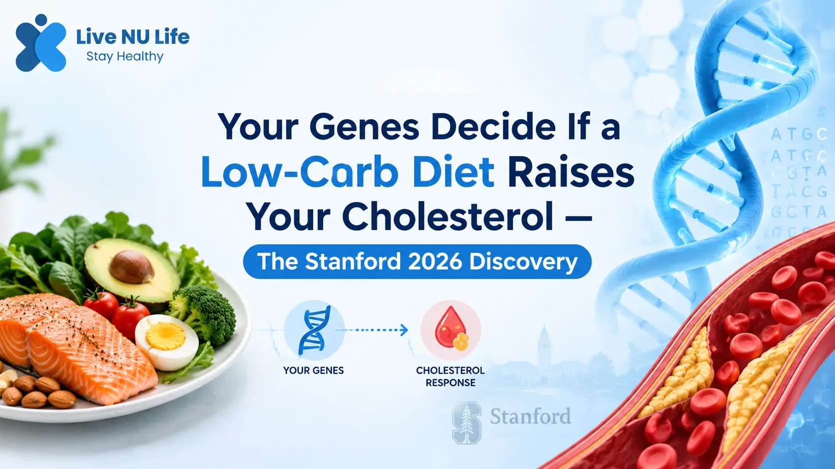 Your Genes Decide If a Low-Carb Diet Raises Your Cholesterol
